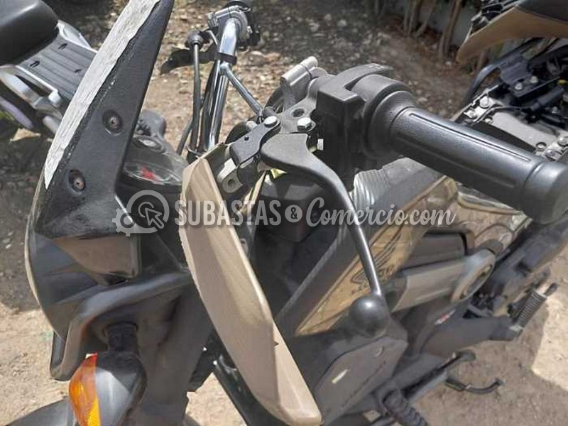 WhatsApp Image 2025-11-27 at 11.09.06 AM.jpg